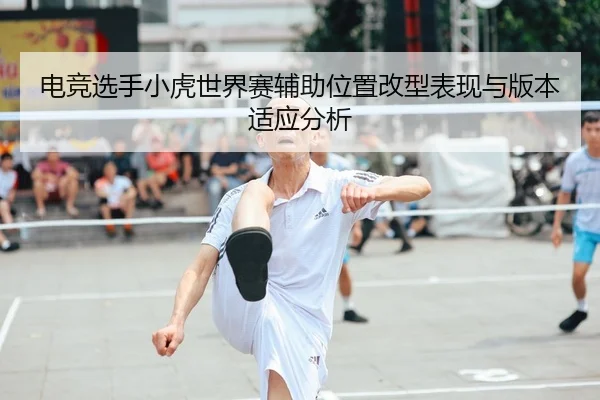 电竞选手小虎世界赛辅助位置改型表现与版本适应分析